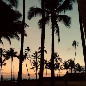 Meet your Posher, Will